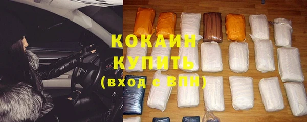 крисы Бронницы