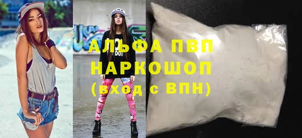индика Бородино