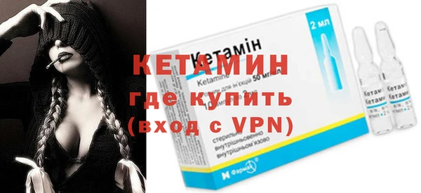 индика Бородино
