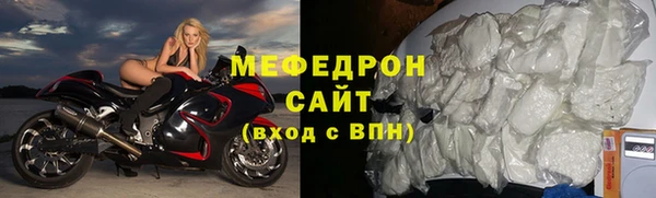 индика Бородино
