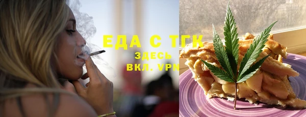 индика Бородино