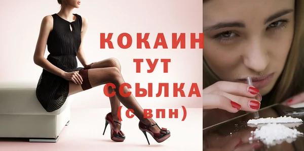 индика Бородино