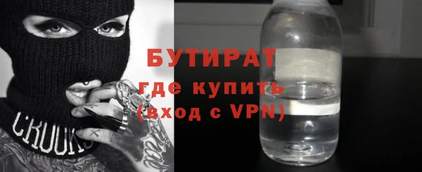 индика Бородино