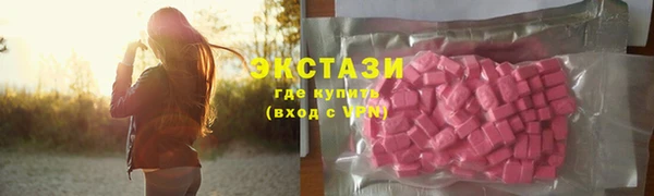 индика Бородино