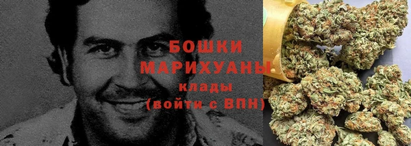 крисы Бронницы