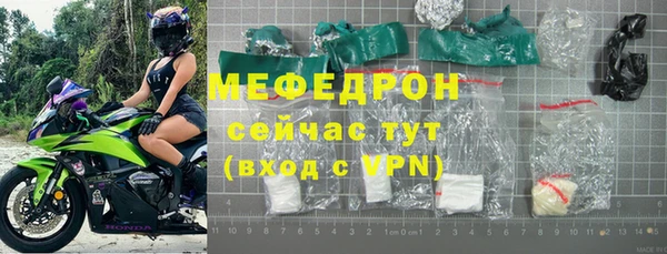 индика Бородино