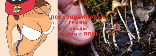 индика Бородино