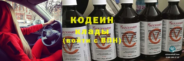 крисы Бронницы
