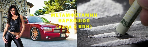 индика Бородино