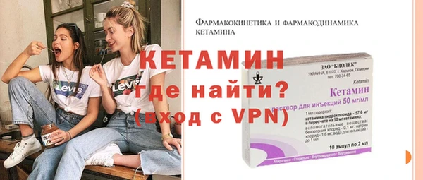 индика Бородино